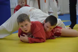 Первенство "Упрощенное дзюдо и самбо» 2014 г.р.