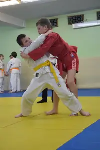 Первенство "Упрощенное дзюдо и самбо» 2014 г.р.