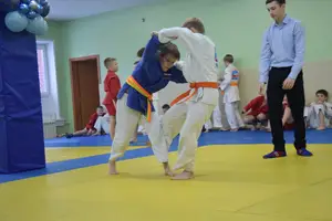 Первенство "Упрощенное дзюдо и самбо» 2014 г.р.