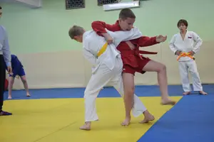 Первенство "Упрощенное дзюдо и самбо» 2014 г.р.