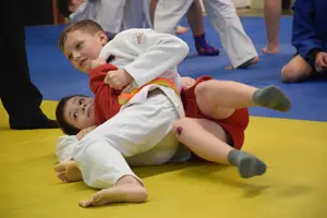 Первенство "Упрощенное дзюдо и самбо» 2014 г.р.