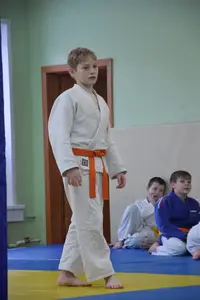 Первенство "Упрощенное дзюдо и самбо» 2014 г.р.