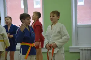 Первенство "Упрощенное дзюдо и самбо» 2014 г.р.