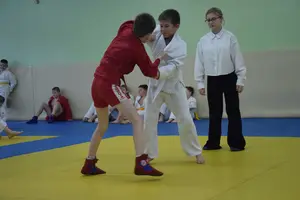 Первенство "Упрощенное дзюдо и самбо» 2014 г.р.