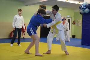 Первенство "Упрощенное дзюдо и самбо» 2014 г.р.