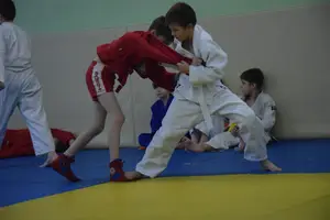 Первенство "Упрощенное дзюдо и самбо» 2014 г.р.