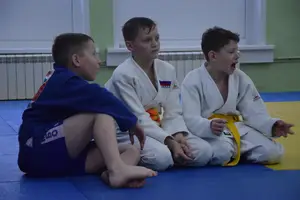 Первенство "Упрощенное дзюдо и самбо» 2014 г.р.
