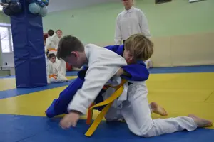 Первенство "Упрощенное дзюдо и самбо» 2014 г.р.