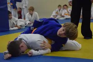 Первенство "Упрощенное дзюдо и самбо» 2014 г.р.