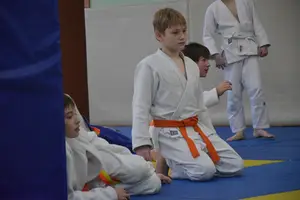 Первенство "Упрощенное дзюдо и самбо» 2014 г.р.