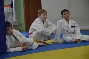 Первенство "Упрощенное дзюдо и самбо» 2014 г.р.