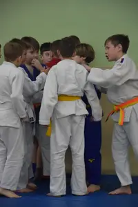 Первенство "Упрощенное дзюдо и самбо» 2014 г.р.