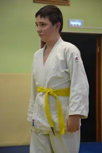 Первенство "Упрощенное дзюдо и самбо» 2014 г.р.