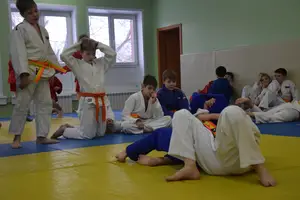 Первенство "Упрощенное дзюдо и самбо» 2014 г.р.