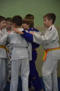 Первенство "Упрощенное дзюдо и самбо» 2014 г.р.