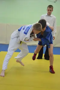 Первенство посвященное Дню Победы  по упрощенным правилам борьбы Дзюдо и Самбо 2013 г.р.
