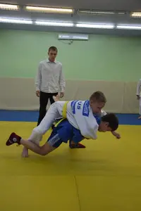 Первенство посвященное Дню Победы  по упрощенным правилам борьбы Дзюдо и Самбо 2013 г.р.
