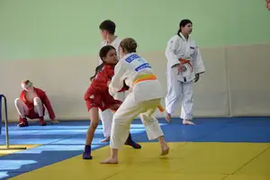 Первенство посвященное Дню Победы  по упрощенным правилам борьбы Дзюдо и Самбо 2013 г.р.