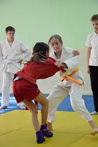 Первенство посвященное Дню Победы  по упрощенным правилам борьбы Дзюдо и Самбо 2013 г.р.