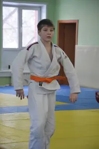 Первенство "Упрощенное дзюдо и самбо» 2013 г.р.