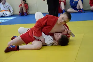 Первенство посвященное Дню Победы  по упрощенным правилам борьбы Дзюдо и Самбо 2013 г.р.