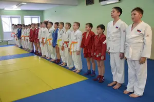 Первенство "Упрощенное дзюдо и самбо» 2013 г.р.