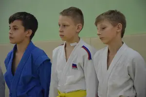 Первенство "Упрощенное дзюдо и самбо» 2013 г.р.