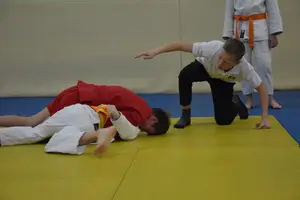 Первенство "Упрощенное дзюдо и самбо» 2013 г.р.