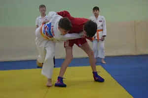 Первенство "Упрощенное дзюдо и самбо» 2013 г.р.
