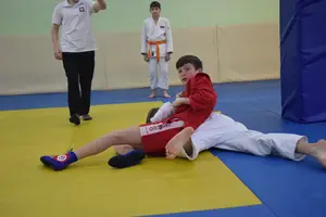 Первенство "Упрощенное дзюдо и самбо» 2013 г.р.