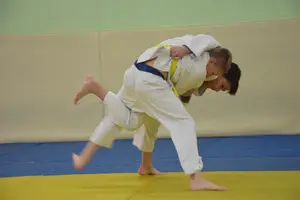 Первенство "Упрощенное дзюдо и самбо» 2013 г.р.