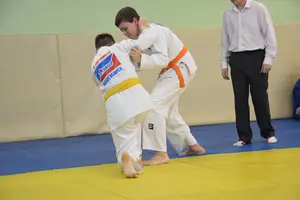 Первенство "Упрощенное дзюдо и самбо» 2013 г.р.