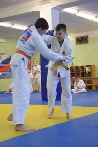 Первенство "Упрощенное дзюдо и самбо» 2013 г.р.