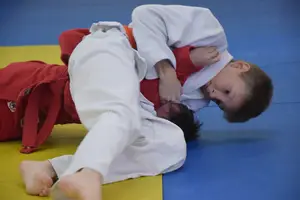 Первенство "Упрощенное дзюдо и самбо» 2013 г.р.