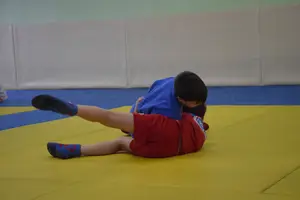 Первенство "Упрощенное дзюдо и самбо» 2013 г.р.