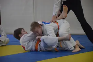 Первенство "Упрощенное дзюдо и самбо» 2013 г.р.