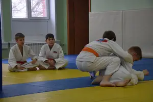 Первенство "Упрощенное дзюдо и самбо» 2013 г.р.