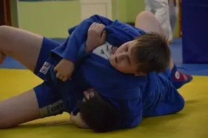 Первенство "Упрощенное дзюдо и самбо» 2013 г.р.