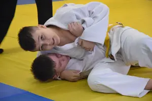 Первенство "Упрощенное дзюдо и самбо» 2013 г.р.