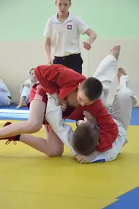 Первенство посвященное Дню Победы  по упрощенным правилам борьбы Дзюдо и Самбо 2013 г.р.