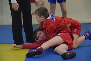 Первенство "Упрощенное дзюдо и самбо» 2013 г.р.