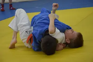 Первенство "Упрощенное дзюдо и самбо» 2013 г.р.