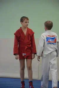 Первенство "Упрощенное дзюдо и самбо» 2013 г.р.