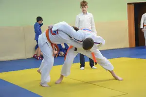 Первенство "Упрощенное дзюдо и самбо» 2013 г.р.