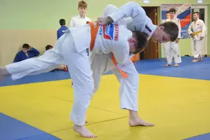 Первенство "Упрощенное дзюдо и самбо» 2013 г.р.