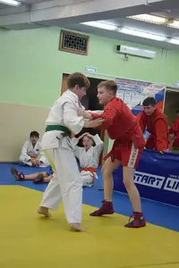 Первенство посвященное Дню Победы  по упрощенным правилам борьбы Дзюдо и Самбо 2013 г.р.