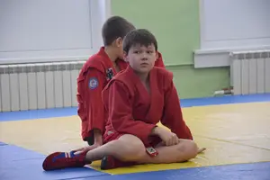 Первенство "Упрощенное дзюдо и самбо» 2013 г.р.