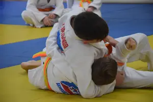 Первенство "Упрощенное дзюдо и самбо» 2013 г.р.