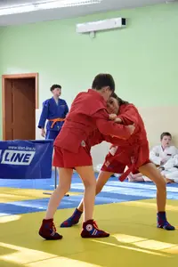 Первенство посвященное Дню Победы  по упрощенным правилам борьбы Дзюдо и Самбо 2013 г.р.