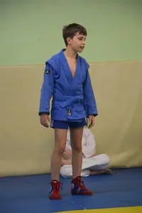 Первенство "Упрощенное дзюдо и самбо» 2013 г.р.